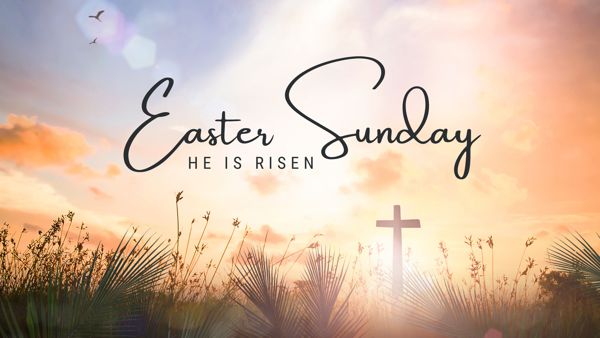 Easter Sunday | Second First Church